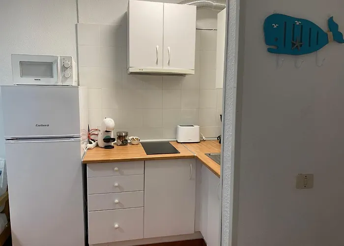 Centrico Con Piscina