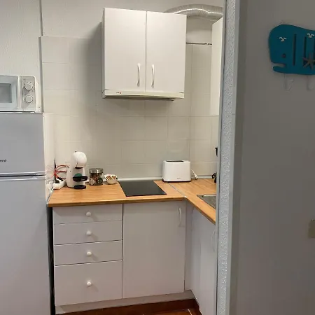 Centrico Con Piscina